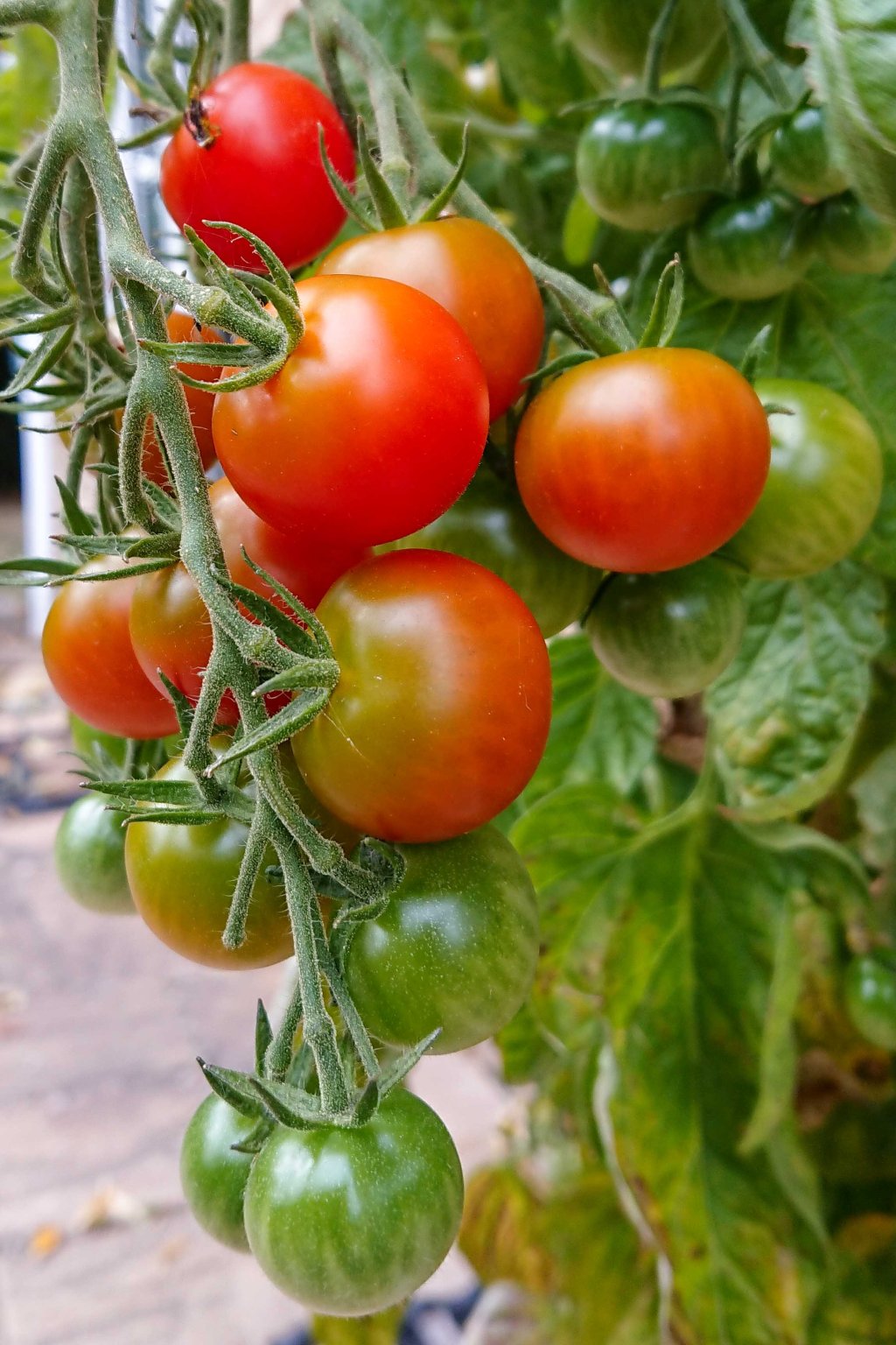 Sep 19: photo of the&nbsp;month