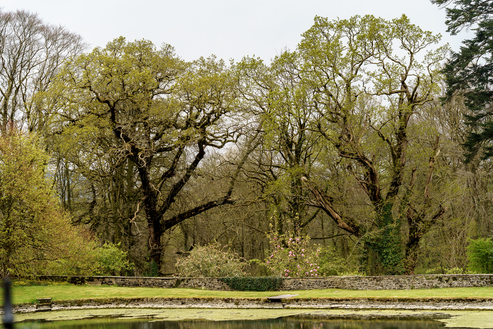 GoSW 2025: five highlights